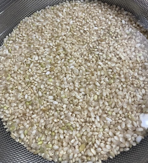 334715183_785451253294642_6809964178518234579_n