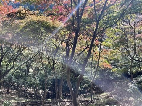 574349884_25112306638422458_6606621709978393239_n