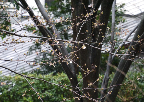 P1330985