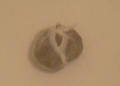 P1330110