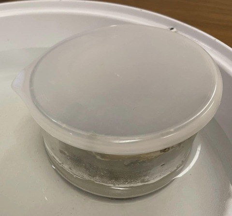 349327754_569828421969965_4463573639498472504_n