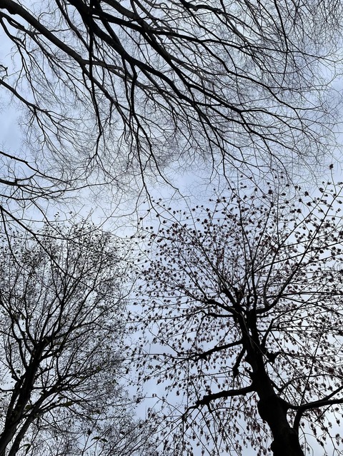 321140093_1110818512947924_6723587337307358438_n