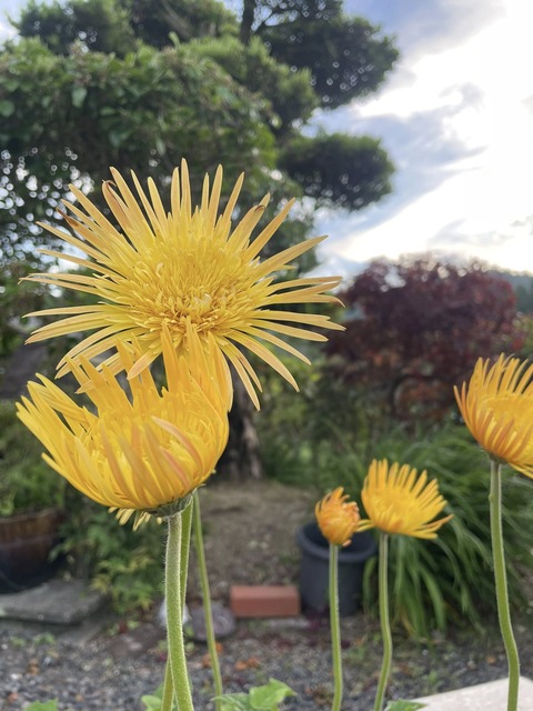 503557954_10052913954788306_1339485441673950233_n