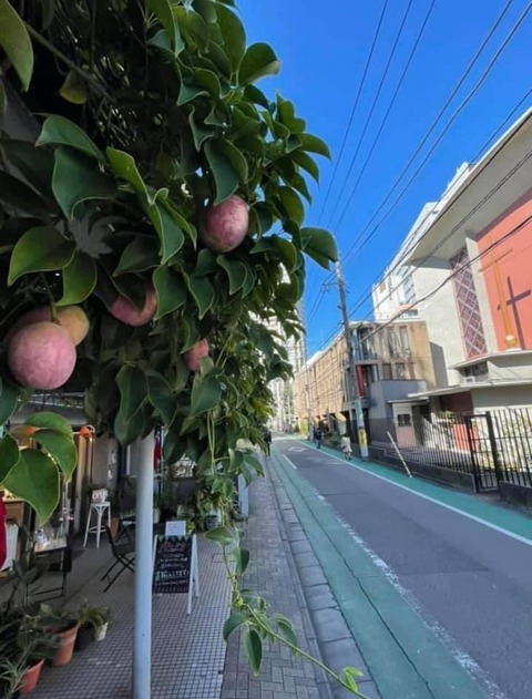 250541108_4515313541881736_7413139722271985669_n