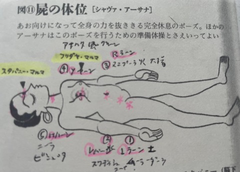 449316340_7859476140798776_4032929452045205375_n