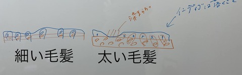 318312965_5776577089088702_608267529951434653_n