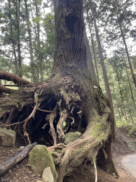 575150403_25112307405089048_6322298269137056941_n