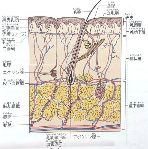 456662052_8194527513960302_48847776905274114_n