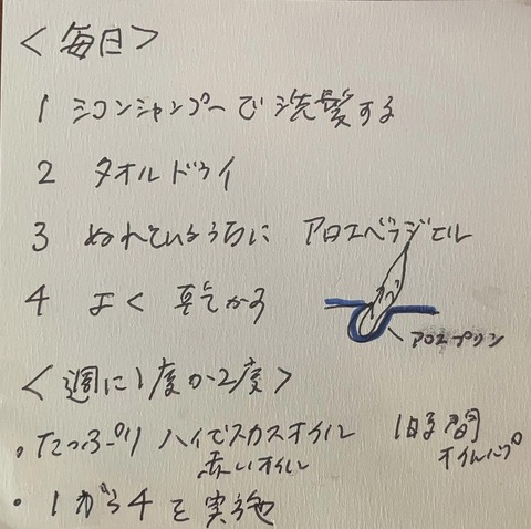 456624098_8194527137293673_4398702487838821591_n