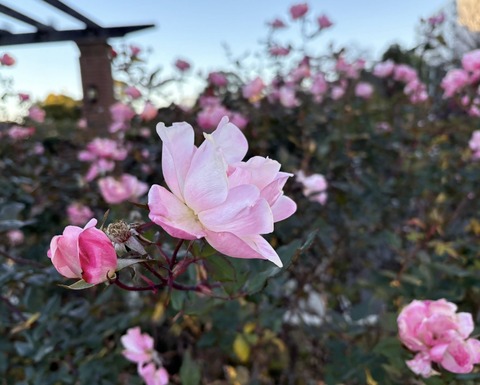 608775582_25599392013047249_1863140891038485001_n