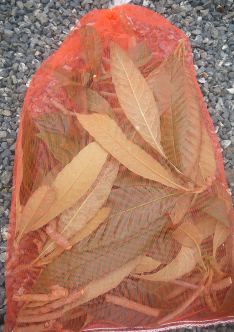 P1320749