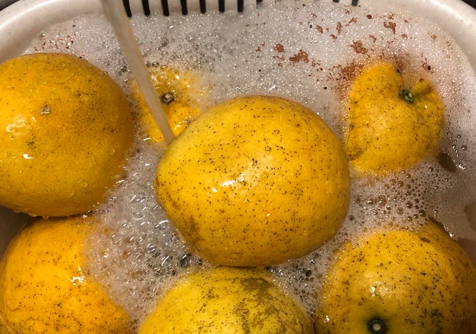 超ご高齢の家族もジューシーフルーツで酵素づくり Keiko Kubo