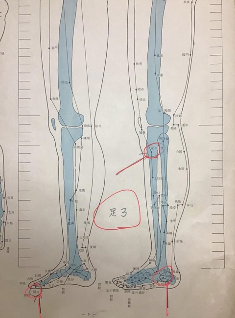 470184876_8961248970621482_7500018407565620971_n