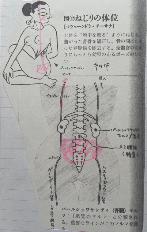 449351302_7859475354132188_7081686438941099214_n