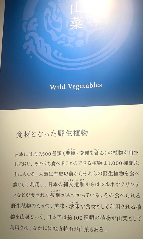 428097050_418388283902156_1957210185553055683_n