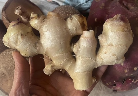 467244474_8824886564257724_2116775626599280064_n