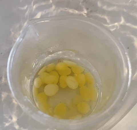 423224486_7398757626870632_3589416352698723218_n