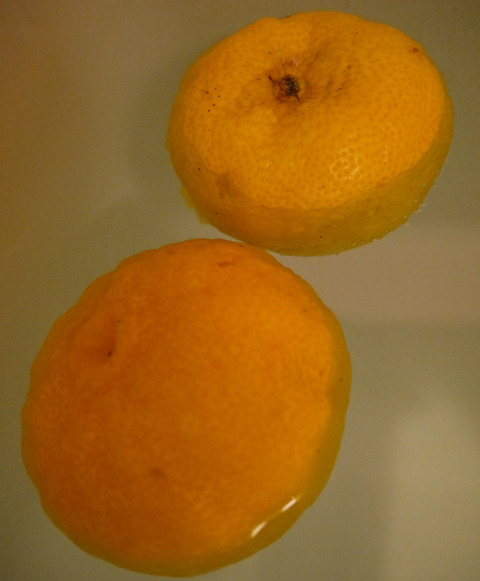 P1270657