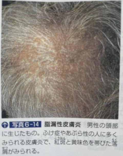 456692104_8194525937293793_4914635643214260768_n