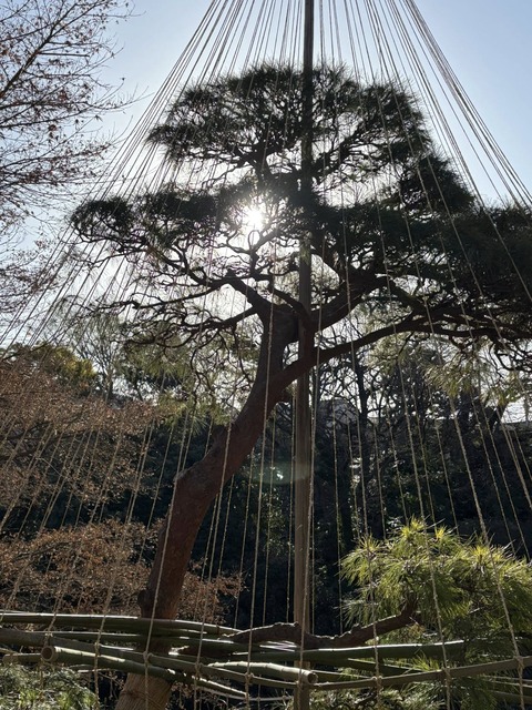 622472516_25789649704021478_3760036193578848123_n