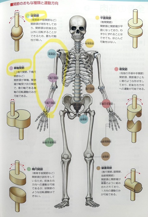 603944694_25484745831178535_3121675121185613826_n