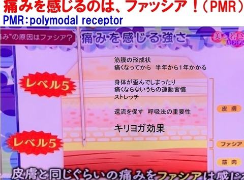 5d62b7660df745bae7c7c6d8868db99f