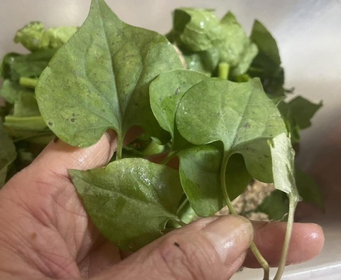 578649068_25140575965595525_9003696534985548457_n