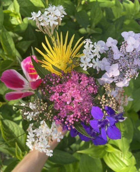 503853443_10052910911455277_6575615426169135075_n