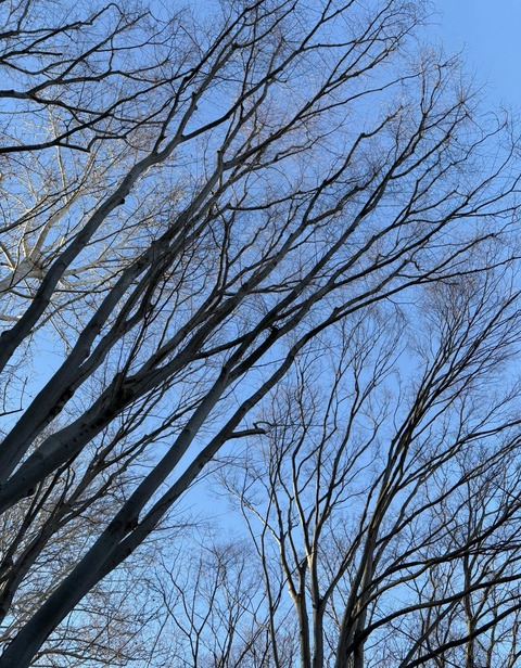 619111813_25751997281120054_5846557028648705963_n