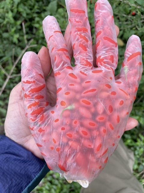 579200190_25132972316355890_3526796894842924366_n