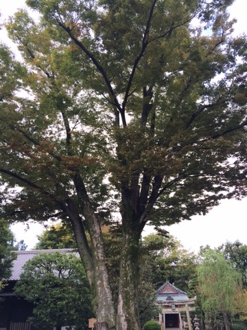 2f9e3923.jpg