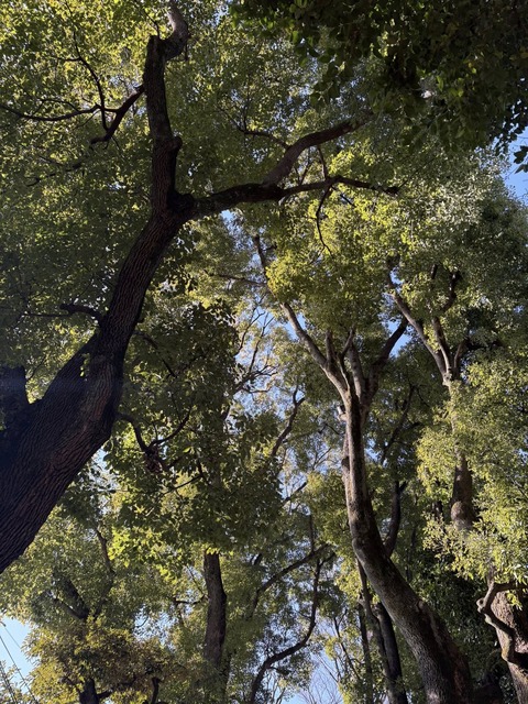 618980908_25716135151372934_4854039859926337405_n