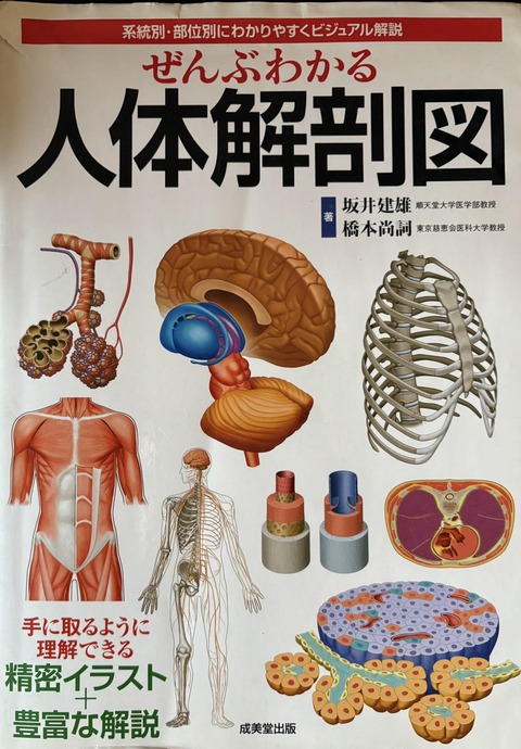 600320645_25484747901178328_4217291458716519282_n