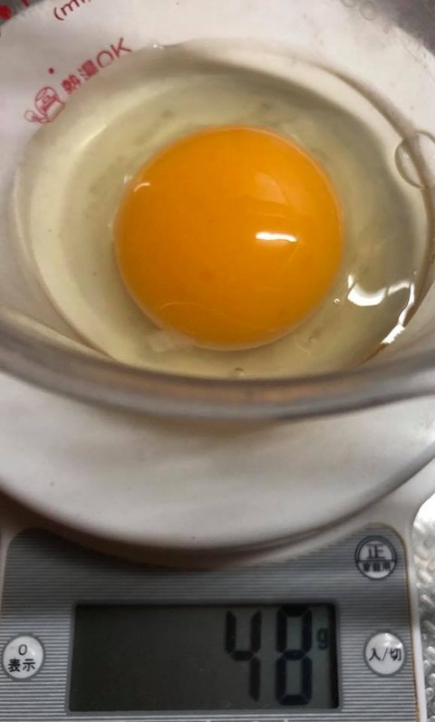 116733507_3187256764687427_2969532663196383295_n