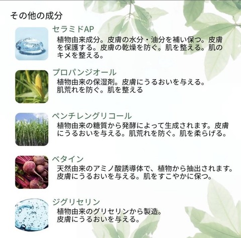 544473870_24559301550389639_5027501322573716297_n