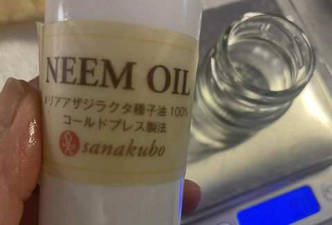 456248726_8177096225703431_3849771242808179242_n