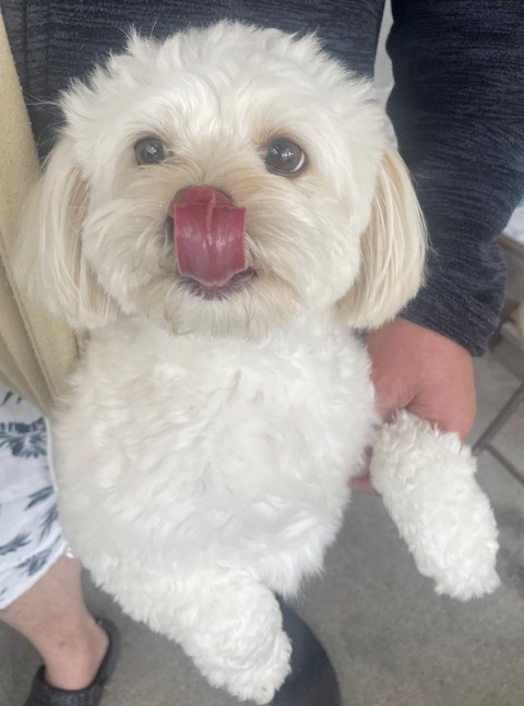 504250689_10052912994788402_7547951773721220339_n