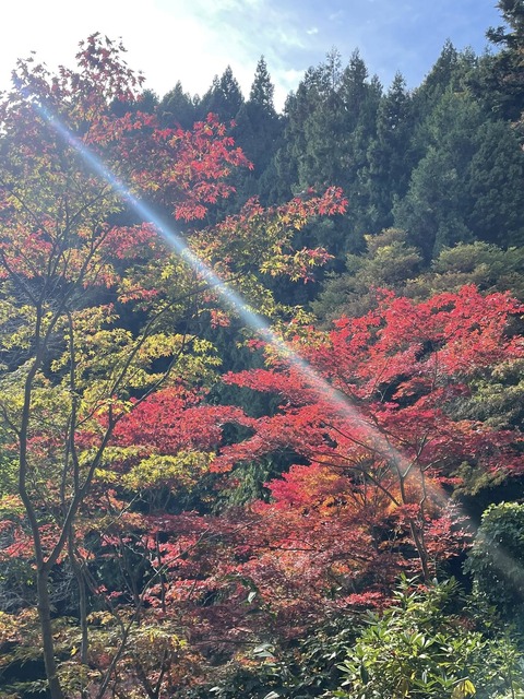 576565293_25112307931755662_6763923062703304170_n