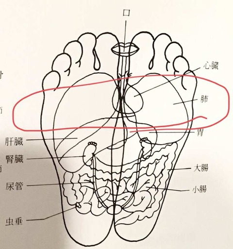 421295675_317019997993216_8091552167579853661_n