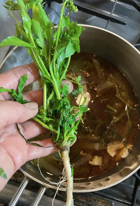 426378553_1425753924646284_8851988598961137563_n