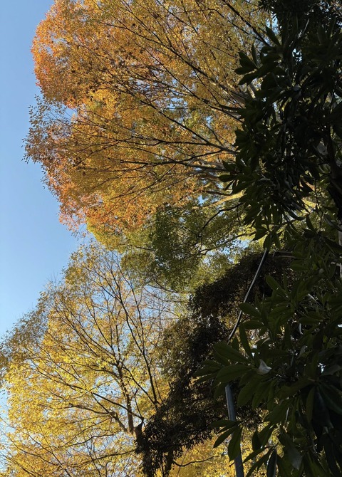 595701488_25375471678772618_6406629363313107116_n