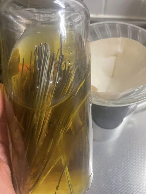 439338041_7545201618892898_4332596580122097011_n