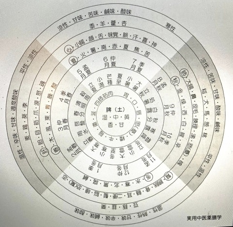 335435518_909353720389716_4965304551806235230_n