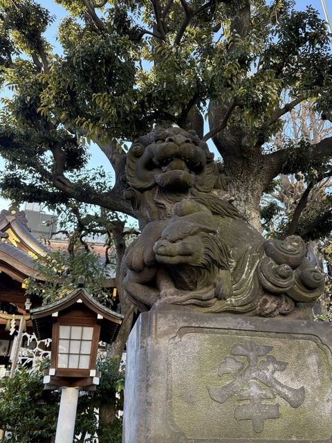 608715154_25583191018000682_516958352312233827_n