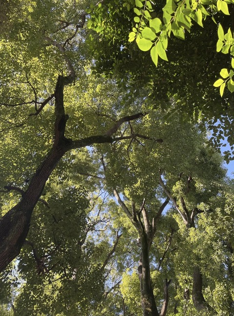 561461095_24921913784128412_1422170384053146453_n