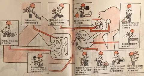46483112_1974870189259430_6590806347128766464_n