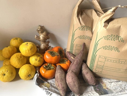 579421127_25140573765595745_3254774814722419724_n