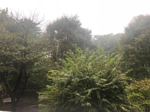 71636464_2491991074214003_6230906822371311616_n