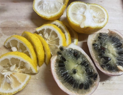 577390540_25140578045595317_2378051737341913427_n