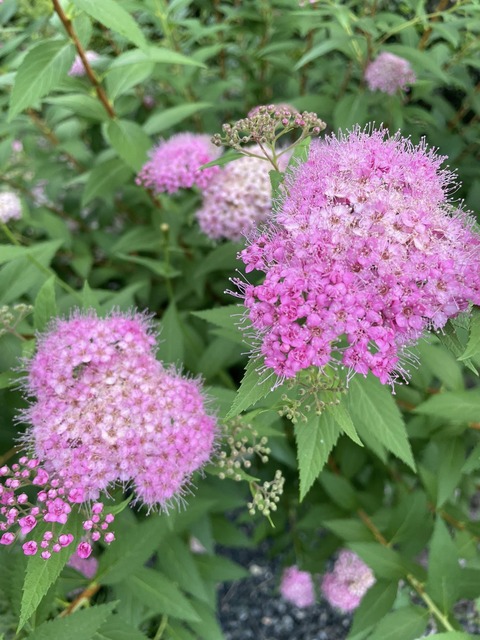 497865702_10052914138121621_2295650192811288282_n